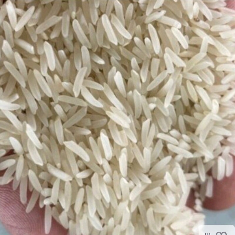 برنج فجر معطر گرگان خوش پخت و مجلسی کشت اول 10 کیلویی