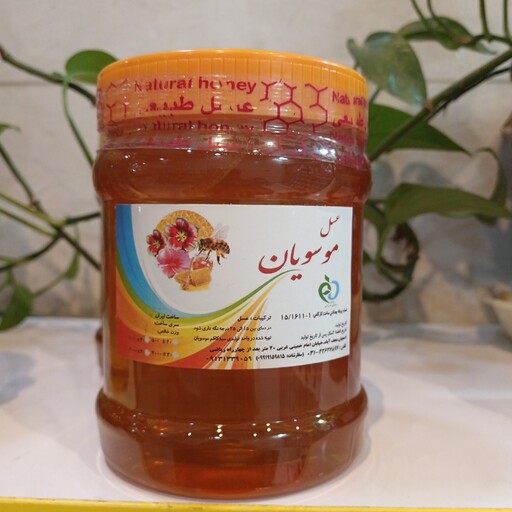 عسل طبیعی قنقال. مناسب دوران سرماخوردگی و دوران شیردهی 