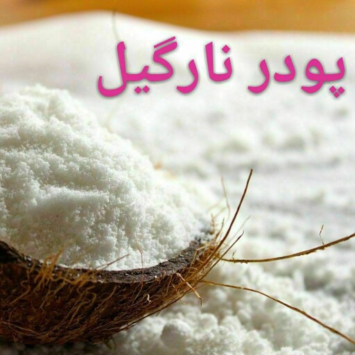 پودر نارگیل چرب 