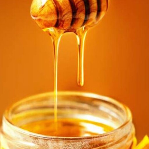 عسل طبیعی 20کیلویی 