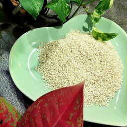 برنج محلی گیلان (غریب) دانه کوتاه بسیار خوشمزه و پُر ری 