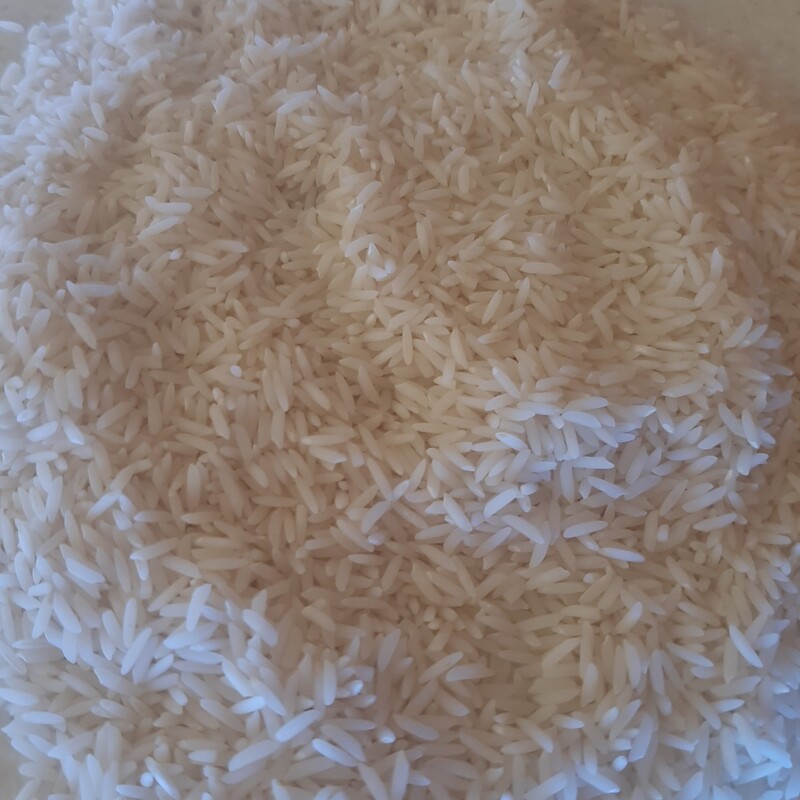 برنج طارم هاشمی کشت اول بوجار نشده (10کیلویی)