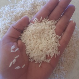 برنج طارم هاشمی کشت اول پخت عالی درجه یک ( 10 کیلویی)