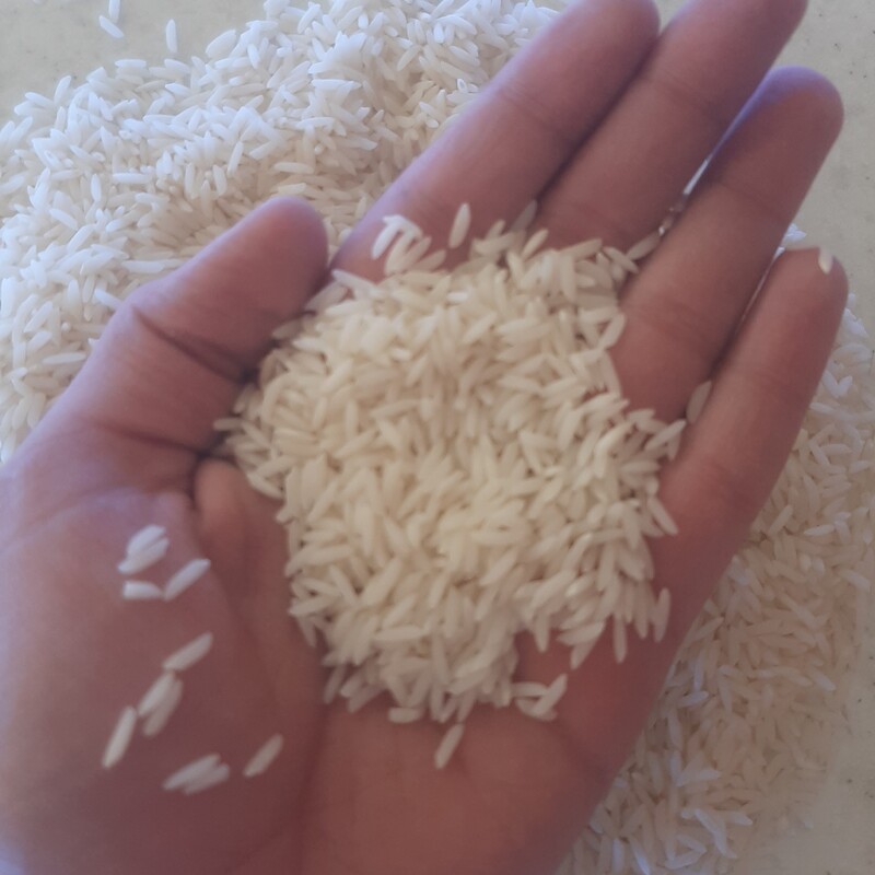 برنج طارم هاشمی کشت اول بوجار نشده (10کیلویی)