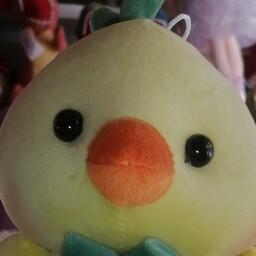 عروسک جوجه اردک نانو  قیمت عالییی