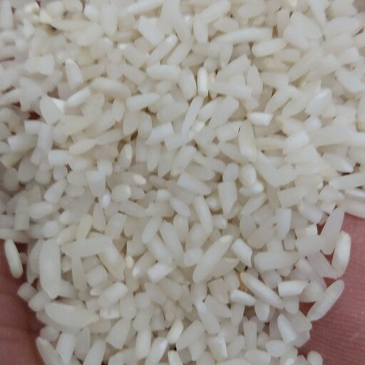 برنج لاشه طارم فریدونکنار با ارسال ریگان