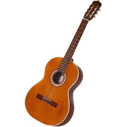 گیتار پارسی مدل Rnew M5  