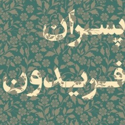 کتاب پسران فریدون نوشته محسن دامادی نشر کتابسرای نیک رقعی شومیر