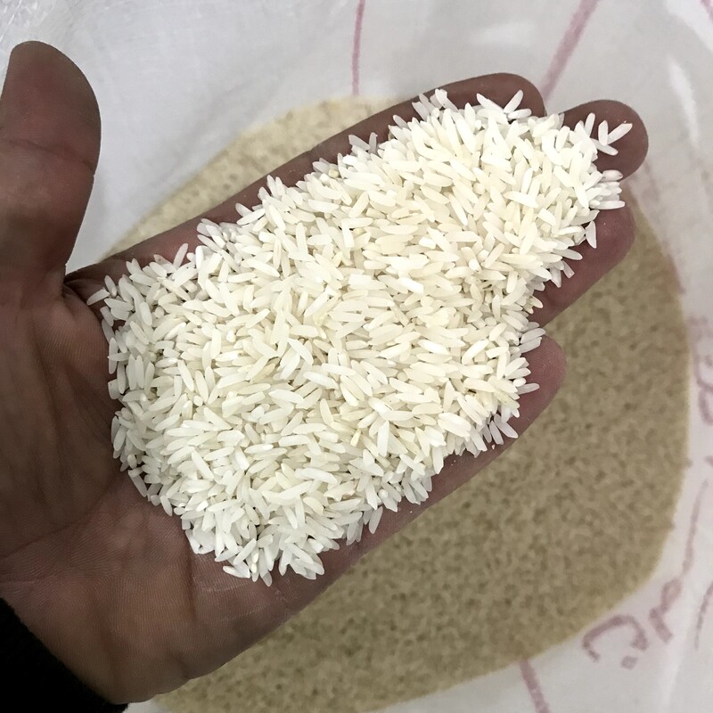 برنج طارم هاشمی درجه یک امساله مازندران (کیسه پنج کیلویی)