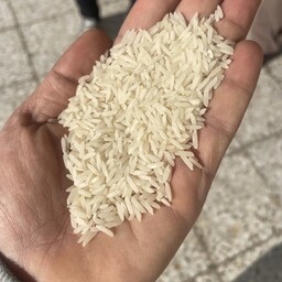 برنج ندا درجه یک مازندران کیسه 5 کیلویی