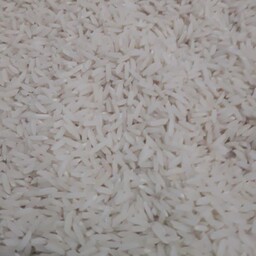 برنج هاشمی گیلان 