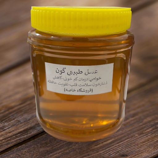 عسل طبیعی گون درجه 1 نیم کیلویی ارسال رایگان