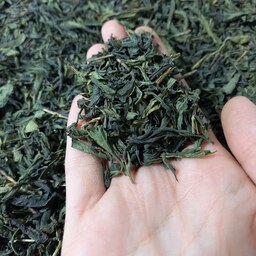 چای سبز  شمال اعلاء (125 گرمی خالص)