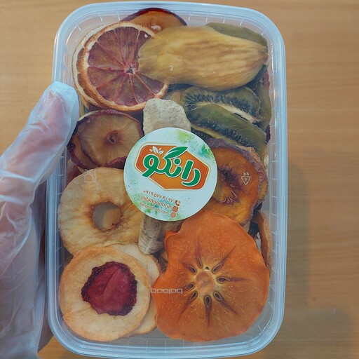 میوه خشک مخلوط 10 میوه (270 گرم) با بسته بندی ظروف فریزری