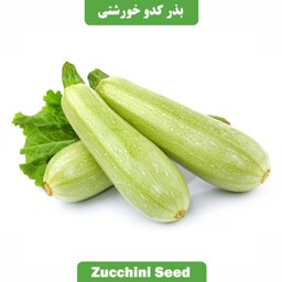 بذر کدو خورشتی ایرانی بسته 100 گرمی 