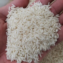 برنج طارم هاشمی اعلاء درجه یک 60 کیلویی تضمین کیفیت 