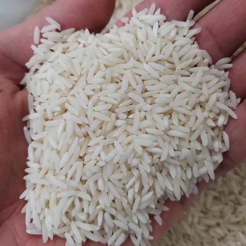 برنج طارم هاشمی اعلاء درجه یک 10 کیلویی تضمین کیفیت 