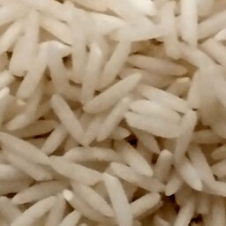 برنج هاشمی بلور دانه