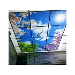 آسمان مجازی سقف تصویری چاپ مستقیم کیفیت عالی ابعاد 60در 60  (ارسال پس کرایه)