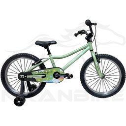 دوچرخه بچگانه کینگ سایز 20 مدل آلومینیومی A-120 سبز.کد 1036005