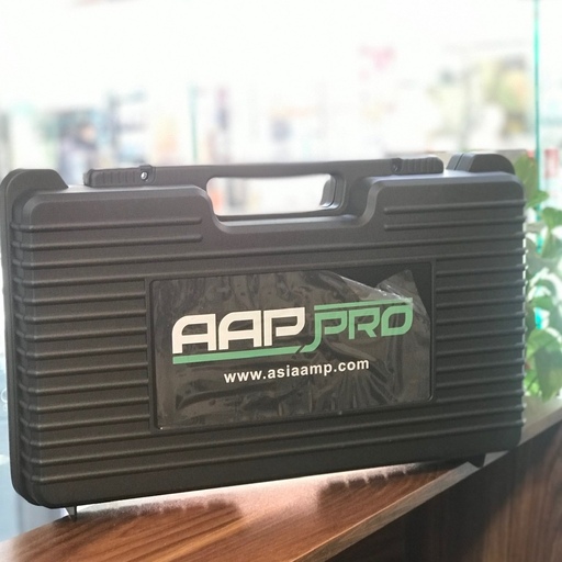 میکروفن بیسیم دو کانال AAP PRO مدل AP-M700BB