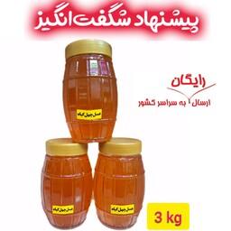 عسل طبیعی و خوراکی چهل گیاه(وزن 3 کیلو) ساکارز  زیر 5(پیشنهاد شگفت انگیز)