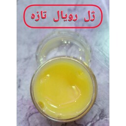 ژل رویال تازه و اصل(20گرمی)خرید از زنبوردار( 1 گرم24 تومن)