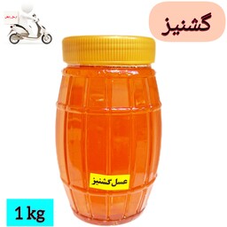عسل طبیعی گشنیز (وزن یک کیلو) ساکارز زیر 2