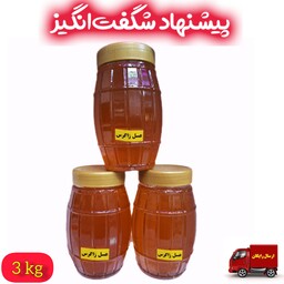 عسل طبیعی زاگرس با کیفیت(3 کیلوگرم)خرید بی واسطه