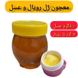معجون ژل رویال و عسل(500گرم عسل،15 گرم ژل رویال)