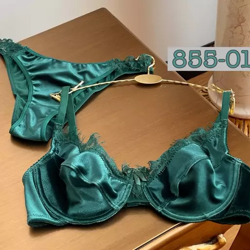 ست شورت و سوتین مخمل و دانتل نوشه ..فنردار   در چهار سایز 75،80،85،90  و سه رنگ 