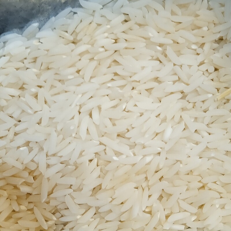 برنج هاشمی معطر آستانه اشرفیه10 کیلویی