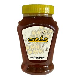 عسل دیابتی حکمت 460 گرم