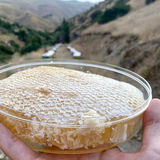 عسل بهاره کاملا طبیعی برداشت شده از منطقه ای کاملا کوهستانی  غنی شده از  درختچه های کوهی