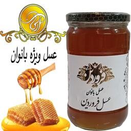 عسل ترکیبی ویژه بانوان صادراتی خام و اعلا 850 گرمی مخصوص  درد های زنانه و تقویت بانوان 