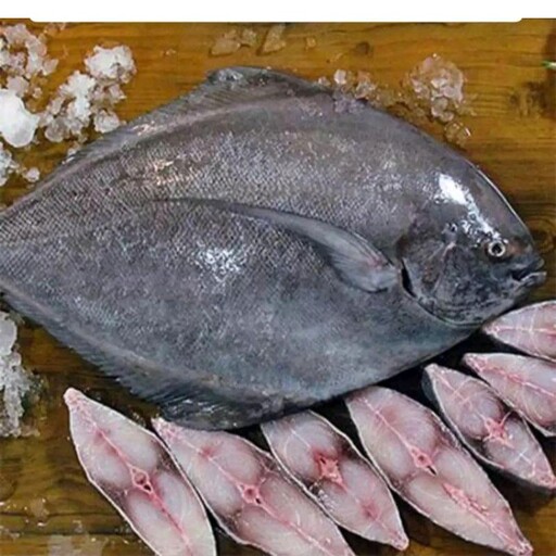 ماهی  حلوا سیاه حداقل سفارش 3 کیلو ارسال رایگان