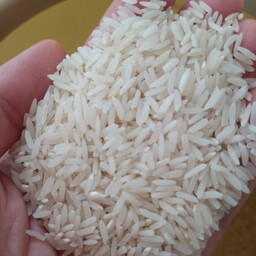 برنج هاشمی اعلا امساله مستقیم از کشاورز بدون واسطه 