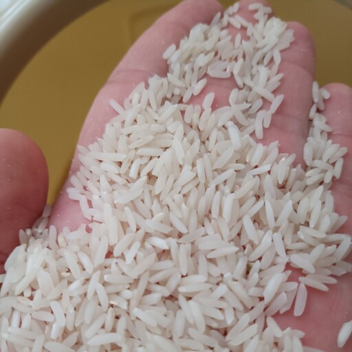برنج هاشمی اعلا امساله مستقیم از کشاورز (10کیلویی)(ارسال رایگان)