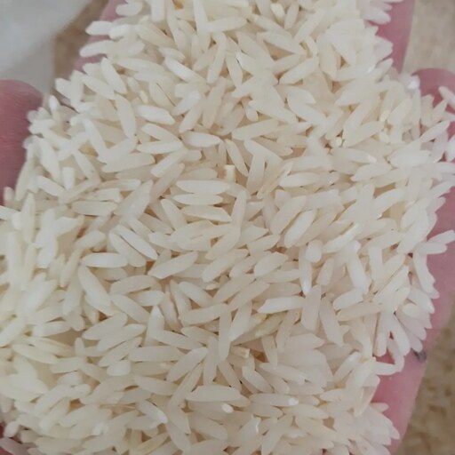 برنج طارم هاشمی سورت شده درجه یک بابرندطراوت