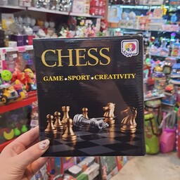 بازی شطرنج 