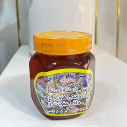 عسل اسطوخودوس ارگانیک (نیم کیلویی) ویژه دیابت