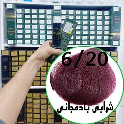 رنگ مو نچرال شرابی بادمجانی (6.20) حجم 120میلی لیتر  نچرال اینیستینکس