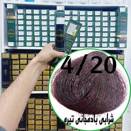 رنگ مو نچرال شرابی بادمجانی تیره(4.20) حجم 120میلی لیتر  نچرال اینیستینکس