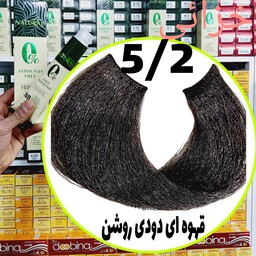 رنگ مو نچرال قهوه ای دودی روشن(5.2) بدون آمونیاک و فاقد سولفات و پارابن و سیلیکون