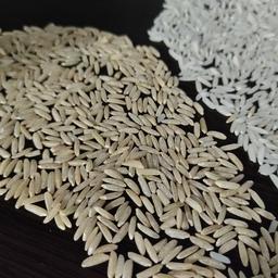 برنج قهوه ای طارم هاشمی درجه یک  امساله(1کیلوگرمی)کالوج