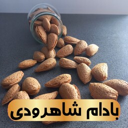 بادام شاهرودی 12