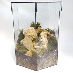 تراریوم(موساریوم) خزه طبیعی با شیشه چند وجهی شش ظلعی