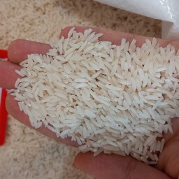 برنج هاشمی درجه1 اعلا  سورتینگ محصول شمال استان گیلان