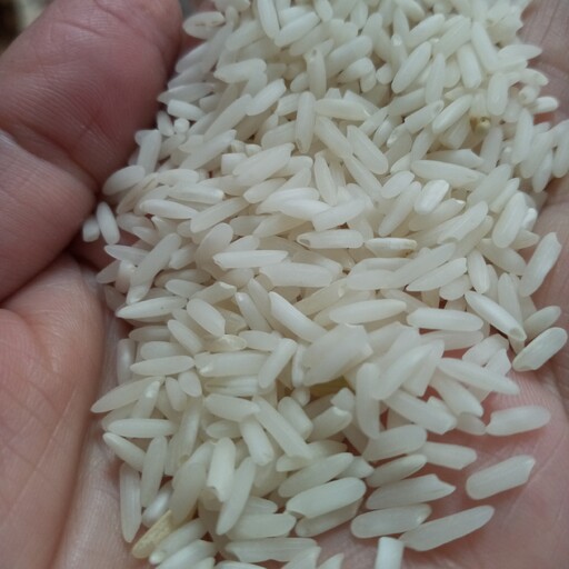 برنج هاشمی درجه یک گیلان 10 کیلویی