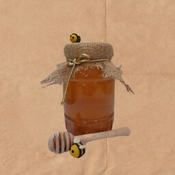 عسل طبیعی گز انگبین 1 کیلویی ماهانا